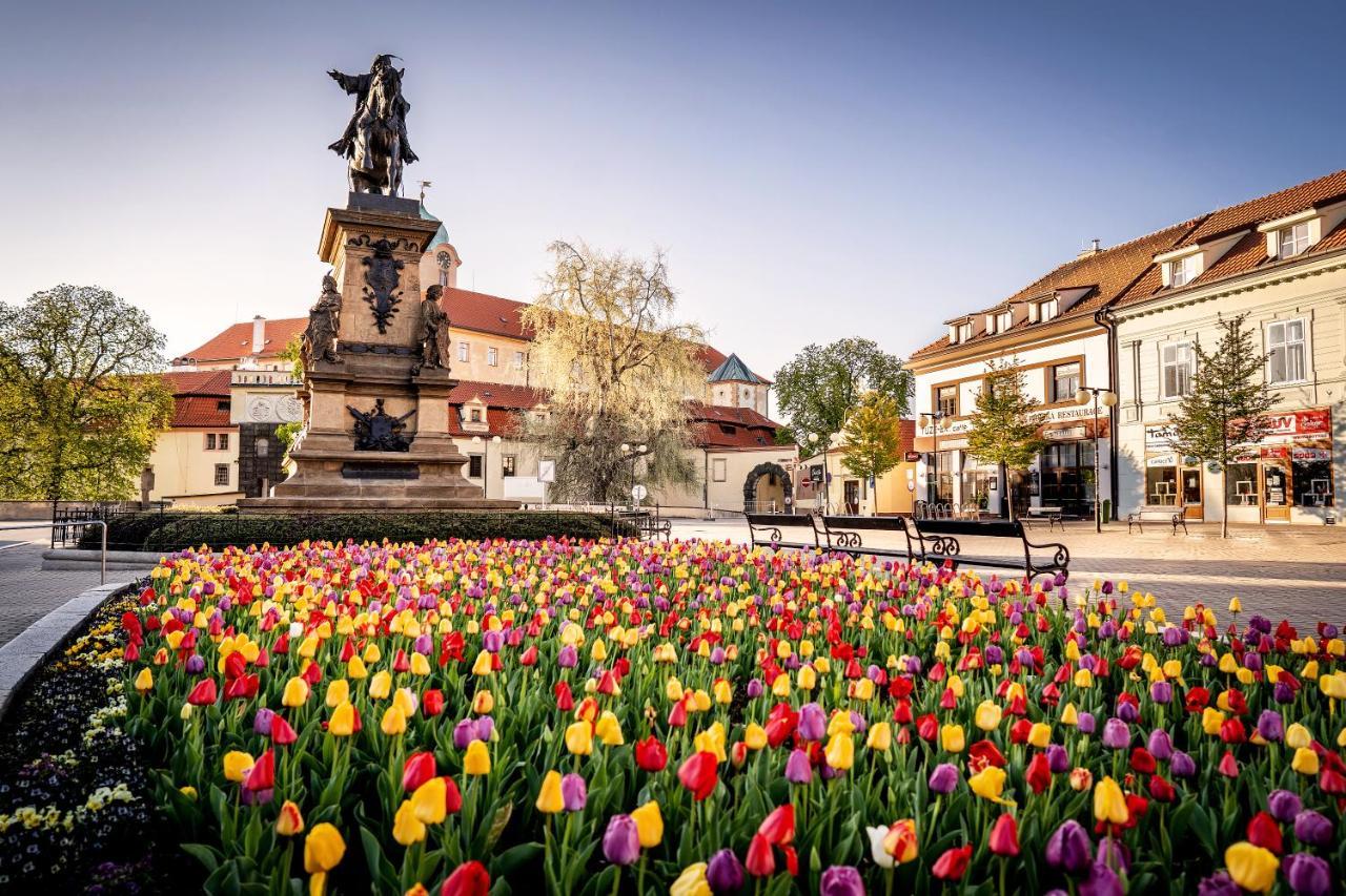 Hotel Bellevue Tlapak Poděbrady Dış mekan fotoğraf