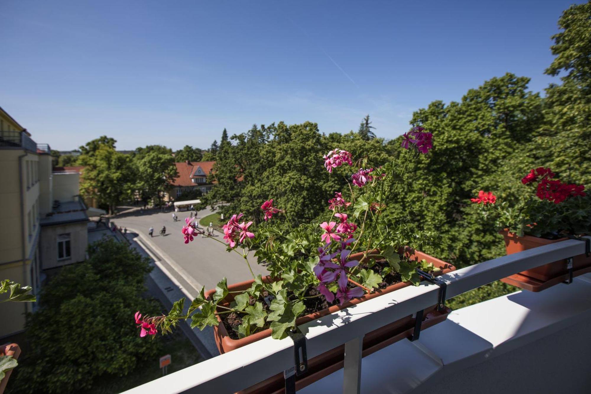 Hotel Bellevue Tlapak Poděbrady Oda fotoğraf